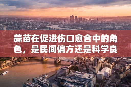 蒜苗在促进伤口愈合中的角色，是民间偏方还是科学良策？