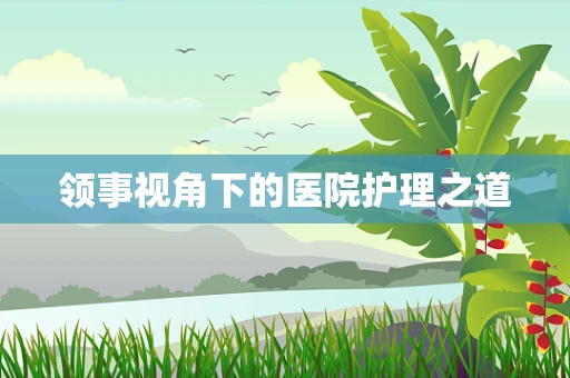 领事视角下的医院护理之道