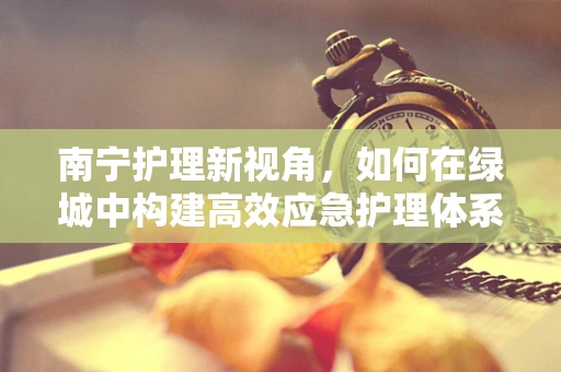 南宁护理新视角，如何在绿城中构建高效应急护理体系？