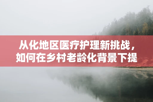 从化地区医疗护理新挑战，如何在乡村老龄化背景下提升居家护理服务？
