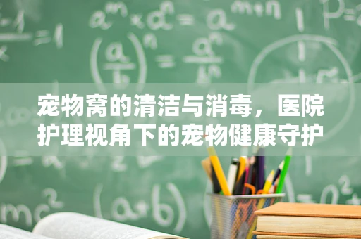 宠物窝的清洁与消毒，医院护理视角下的宠物健康守护