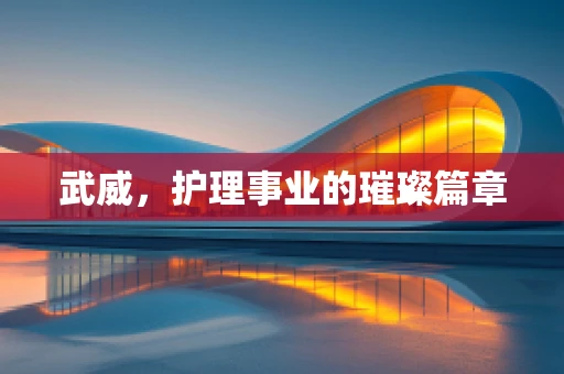 武威，护理事业的璀璨篇章