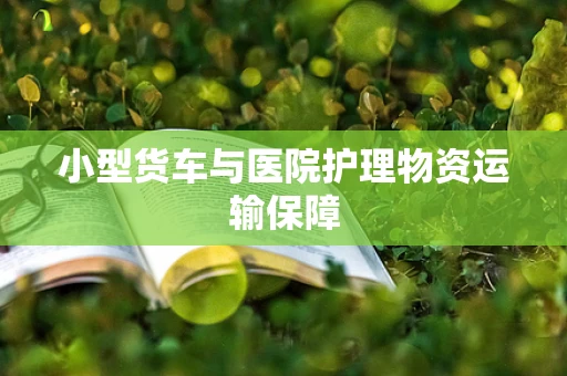 小型货车与医院护理物资运输保障
