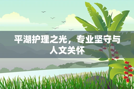 平湖护理之光，专业坚守与人文关怀