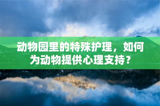 动物园里的特殊护理，如何为动物提供心理支持？