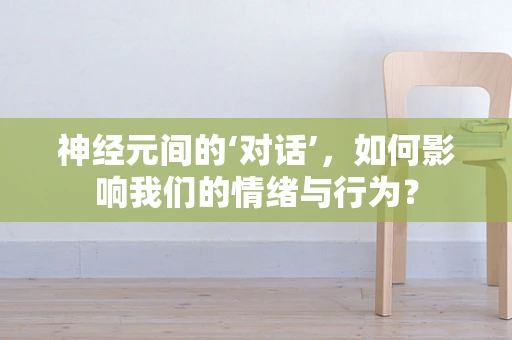 神经元间的‘对话’，如何影响我们的情绪与行为？