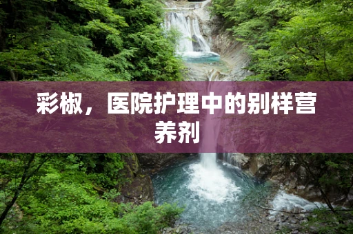 彩椒，医院护理中的别样营养剂