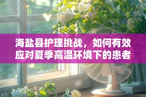 海盐县护理挑战，如何有效应对夏季高温环境下的患者护理需求？