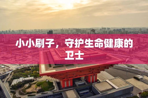 小小刷子，守护生命健康的卫士