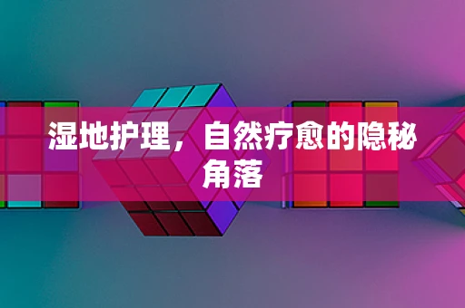 湿地护理，自然疗愈的隐秘角落
