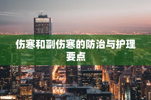 伤寒和副伤寒的防治与护理要点