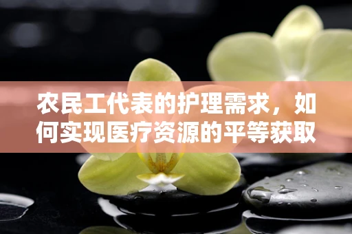 农民工代表的护理需求，如何实现医疗资源的平等获取？