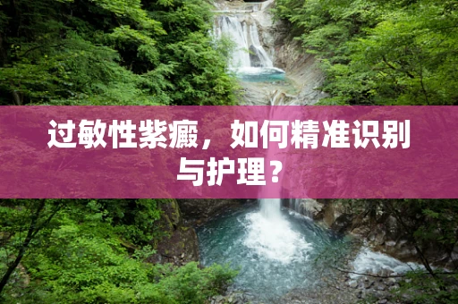 过敏性紫癜，如何精准识别与护理？