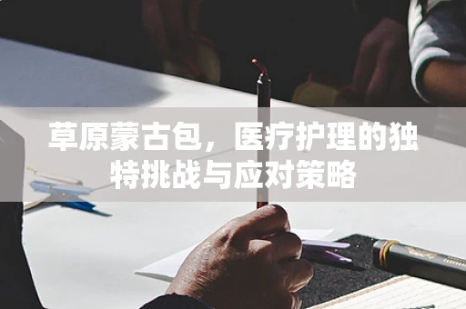 草原蒙古包，医疗护理的独特挑战与应对策略