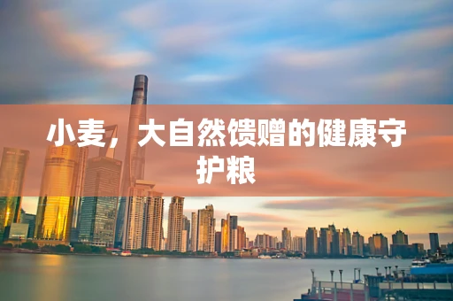小麦，大自然馈赠的健康守护粮