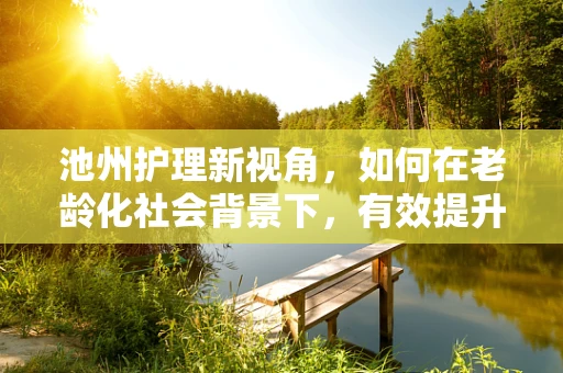 池州护理新视角，如何在老龄化社会背景下，有效提升社区老年人的居家护理服务？