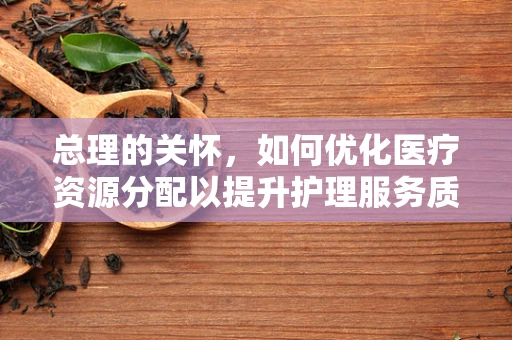 总理的关怀，如何优化医疗资源分配以提升护理服务质量？