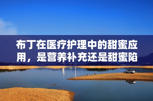 布丁在医疗护理中的甜蜜应用，是营养补充还是甜蜜陷阱？