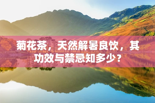 菊花茶，天然解暑良饮，其功效与禁忌知多少？