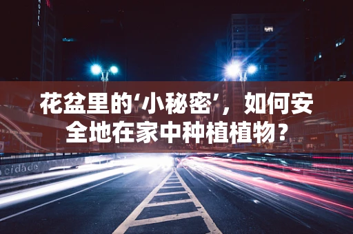 花盆里的‘小秘密’，如何安全地在家中种植植物？