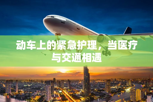 动车上的紧急护理，当医疗与交通相遇