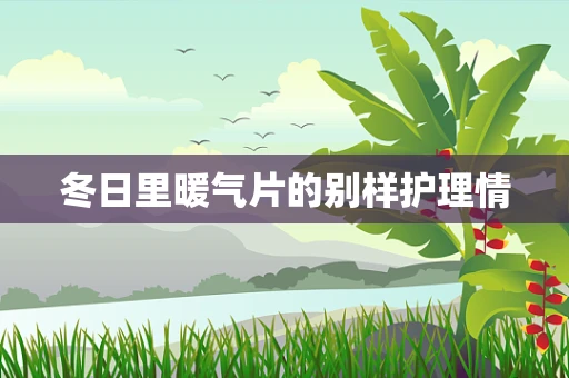 冬日里暖气片的别样护理情