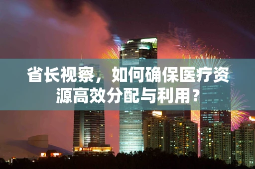 省长视察，如何确保医疗资源高效分配与利用？