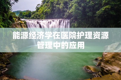 能源经济学在医院护理资源管理中的应用