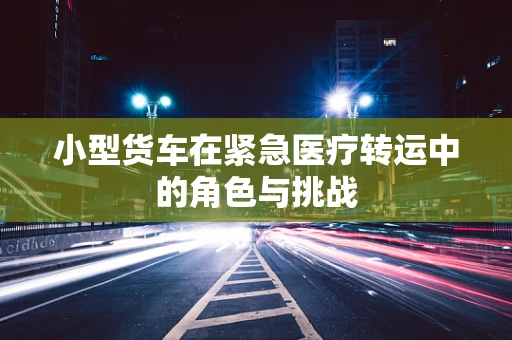 小型货车在紧急医疗转运中的角色与挑战