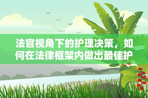 法官视角下的护理决策，如何在法律框架内做出最佳护理决策？