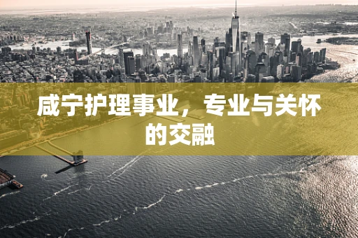 咸宁护理事业，专业与关怀的交融