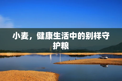 小麦，健康生活中的别样守护粮