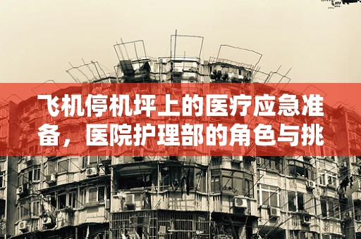 飞机停机坪上的医疗应急准备，医院护理部的角色与挑战