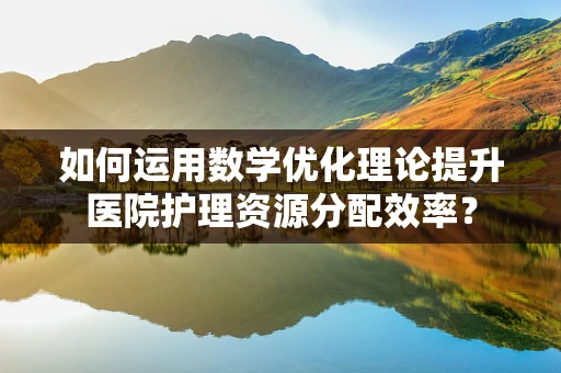 如何运用数学优化理论提升医院护理资源分配效率？