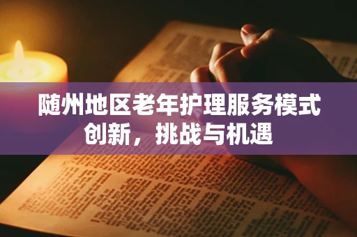 随州地区老年护理服务模式创新，挑战与机遇