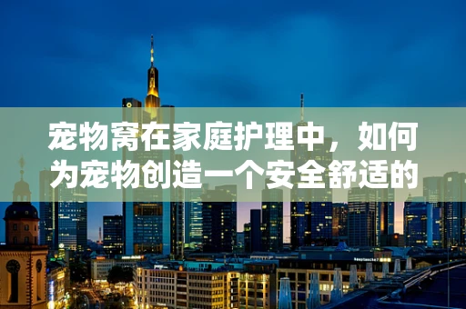 宠物窝在家庭护理中，如何为宠物创造一个安全舒适的避风港？