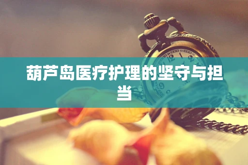 葫芦岛医疗护理的坚守与担当