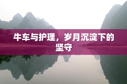 牛车与护理，岁月沉淀下的坚守