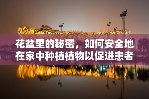 花盆里的秘密，如何安全地在家中种植植物以促进患者康复？