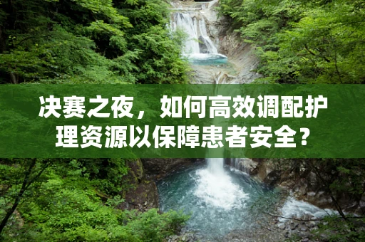 决赛之夜，如何高效调配护理资源以保障患者安全？