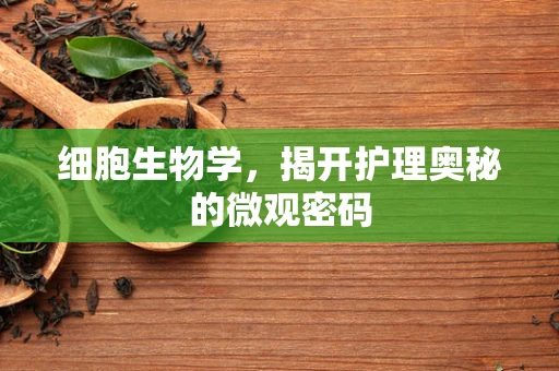 细胞生物学，揭开护理奥秘的微观密码