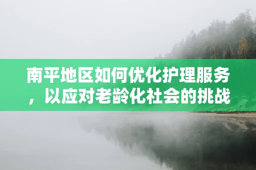 南平地区如何优化护理服务，以应对老龄化社会的挑战？