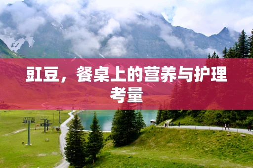 豇豆，餐桌上的营养与护理考量
