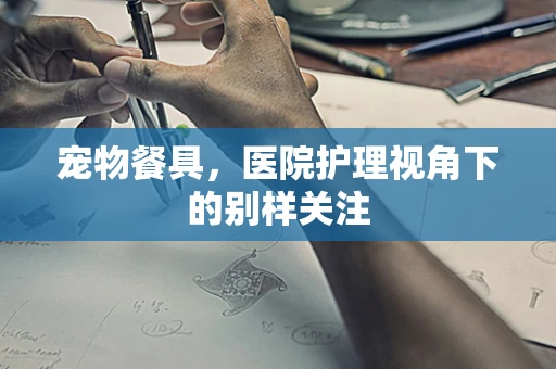 宠物餐具，医院护理视角下的别样关注