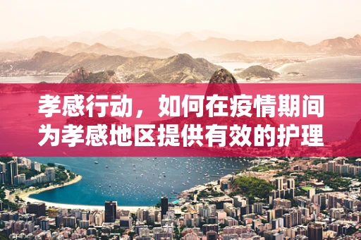 孝感行动，如何在疫情期间为孝感地区提供有效的护理支持？