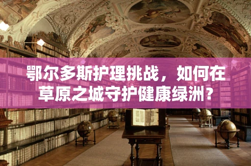 鄂尔多斯护理挑战，如何在草原之城守护健康绿洲？