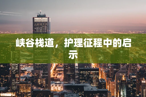 峡谷栈道，护理征程中的启示