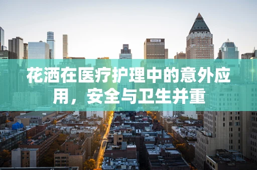 花洒在医疗护理中的意外应用，安全与卫生并重