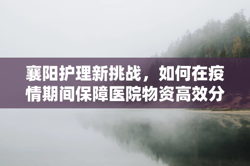 襄阳护理新挑战，如何在疫情期间保障医院物资高效分配？