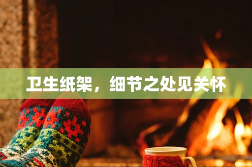卫生纸架，细节之处见关怀